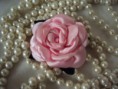 /album/flores/flor-rosa-jpg/